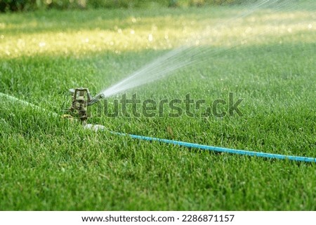 Watering a beautiful, well-kept home lawn with a sprinkler. Garden care, irrigation systems Royalty-Free Stock Photo #2286871157