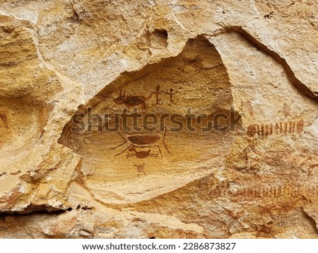 Animals in rock art at archaeological site in Capybara Hills, Piauí, Brazil Northeast