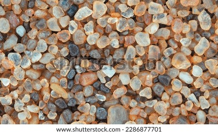 Morphology of the sand grains is studied under a binocular microscope with a magnification of  grains. Royalty-Free Stock Photo #2286877701