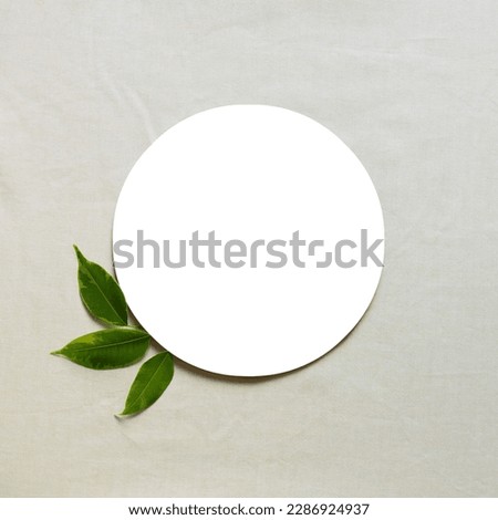 Happy mother's day, birthday, wedding composition. Blank greeting card, invitation and envelope mockup. A white circle with a minimal decor of three fresh green leaves. Flat lay, top view. Square.