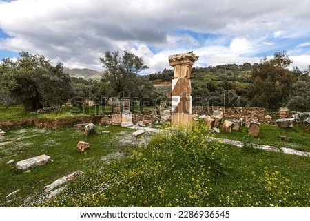 Nysa ancient city , Sultanhisar, Aydin, Turkey. Nysa Ancient City history BC. It is based on the 3rd century. It was built by I. Antiochos Soter and was founded in the name of his wife Nysa.