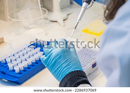 One hand holding  an eppendorf test tube with sample and a lab technician pipetting liquid into wells of a PCR plate in a laboratory. Royalty-Free Stock Photo #2286937069