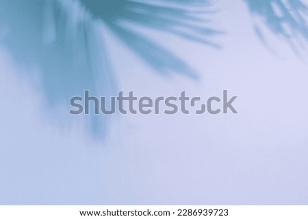 Palm leaf shadow on light blue background. Minimal summer exotic concept with copy space
