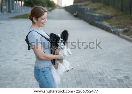 Happy caucasian woman walking with a dog in a backpack. Papillon Spaniel Continental in a sling.