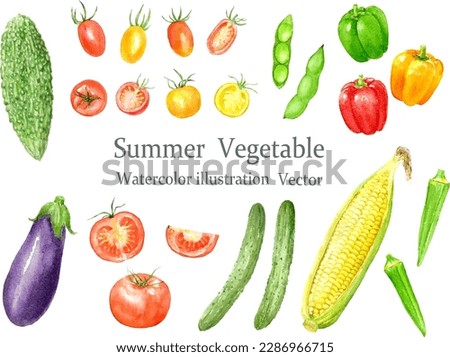 Vector illustration set of summer vegetable painted by watercolor Royalty-Free Stock Photo #2286966715