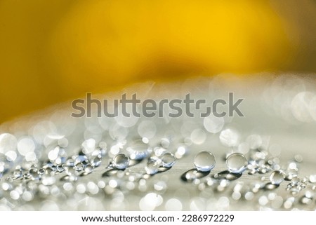 macro photography of water drops with great blur, selective focus, green leaves, light refraction, sunlight, magnifying glass effect, abstract, blur