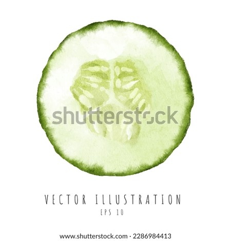 Cucumber cross section watercolor painting style isolated on white background. Vector illustration Royalty-Free Stock Photo #2286984413