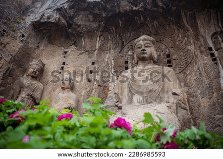 Longmen Grottoes with Buddha's figures are Starting with the Northern Wei Dynasty in 493 AD. It is one of the four notable grottoes in China. Peony flowers on the foreground Royalty-Free Stock Photo #2286985593