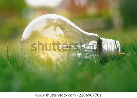Energy and  environment are intertwined. Sustainable energy choices can mitigate environmental impact. Let's strive for a greener future.Bulb on grass.