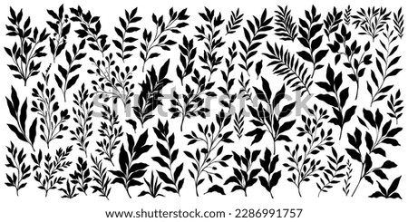Set of branch and leaves collection. Floral hand drawn vintage set. Sketch line art illustration. Element design for greeting cards and invitations of the wedding, birthday Royalty-Free Stock Photo #2286991757