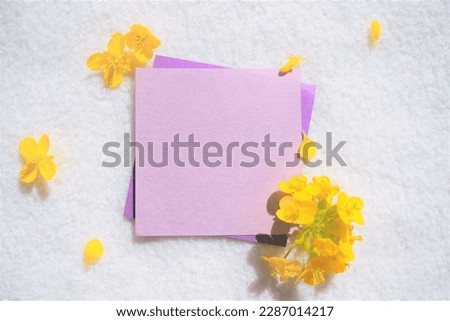 Mock-up of spring purple Japanese paper title frame decorated with pretty yellow brassica napus on a fluffy fabric white background
