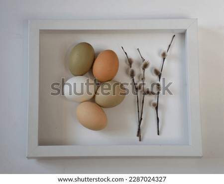 still life with simple chicken eggs, soft pastel colors, natural color chicken eggs, eggs in a white frame, Easter concept, spring