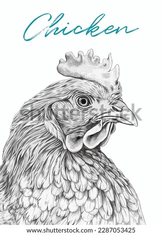 Chicken head detailed monohrome sketch. Chicken farm production. Vector poster. Royalty-Free Stock Photo #2287053425