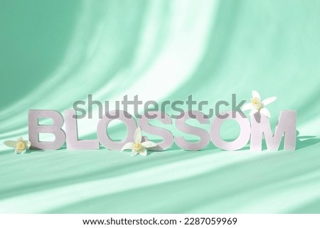 word Blossom. The word blossom on a spring background