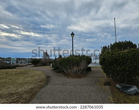 A walking path with a large bush and lamppost in the middle.