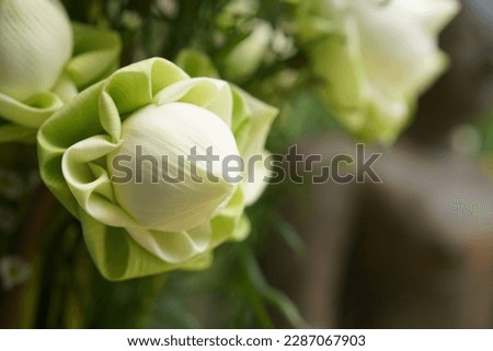 White lotus flowers are used to worship the Lord Buddha.