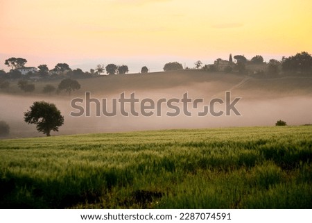 panorama of the hills of the Val di Chiana at dawn. Arezzo, Tuscany. Italy