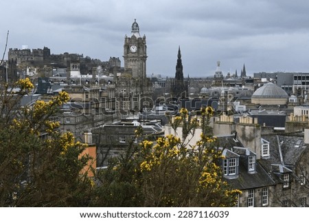 View of Princes Street Edinburgh from Calton Hill with yellow gorse bushes in foreground on overcast day in early spring