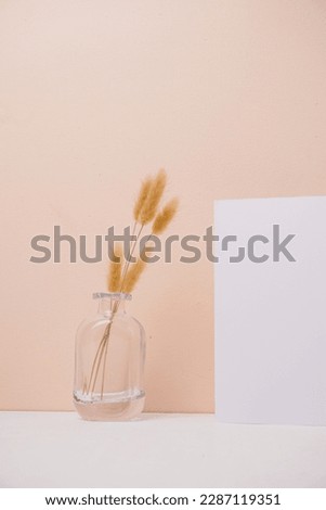 white paper mockup and flower vase, wild plants. cream color background.
