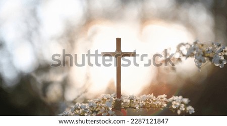 White spring flowers on a warm spring day, sunset in the forest, and the holy cross of Jesus Christ, a Christian symbol
