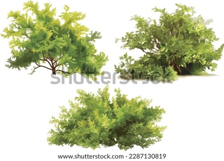 Vector watercolor of green tree side view isolated on white background for landscape and architectur Royalty-Free Stock Photo #2287130819