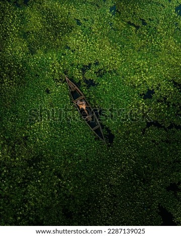 Serene Greens and Lagoons: Discovering Kerala's Backwaters on a Fishing Boat Royalty-Free Stock Photo #2287139025