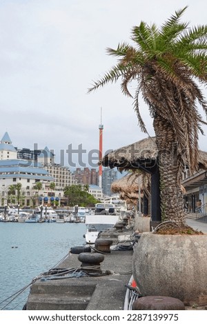 Gazebo and palm trees by the fishing port - sea, port, fishing boats