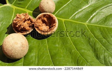 Mysuru, Karnataka, India-April 9 2023;A Close up picture of Wood apples on a leaf background which are aromatic and tangy in taste and rich in vitamins, minerals, fiber and other nutrients.
