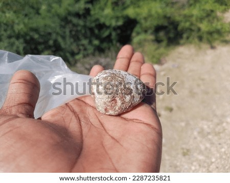 Picture of an unknown beautiful rock