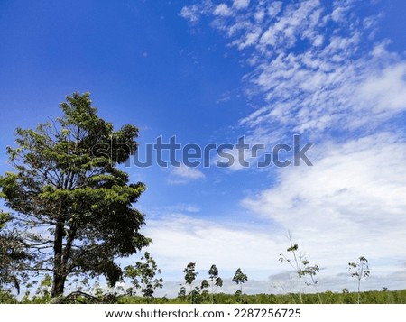 Natural landscape background with beautiful cloudy blue sky