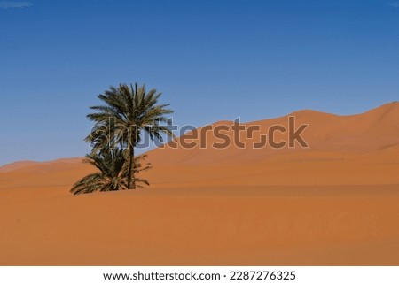 The Beautiful Dunes Of Merzouga