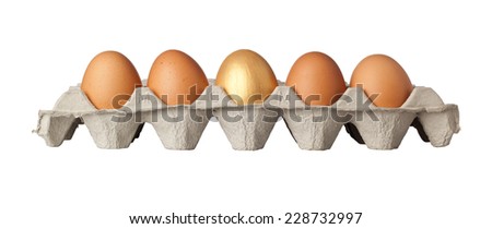 One golden egg in the middle of a tray of eggs isolated on white background 
