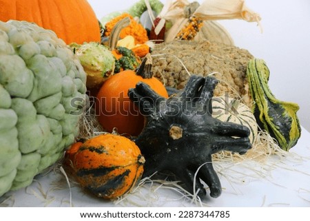 halloween vegetables for sale in market store