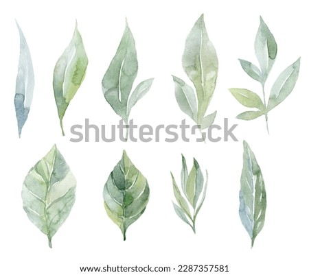 Set of green Leaves. Watercolor Illustration.