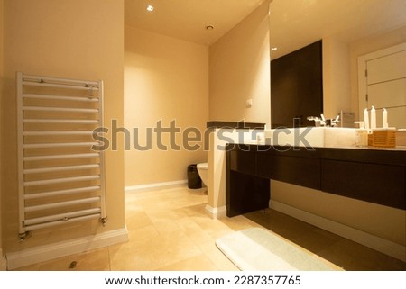 Modern Bathroom Interior in a Luxury Flat 