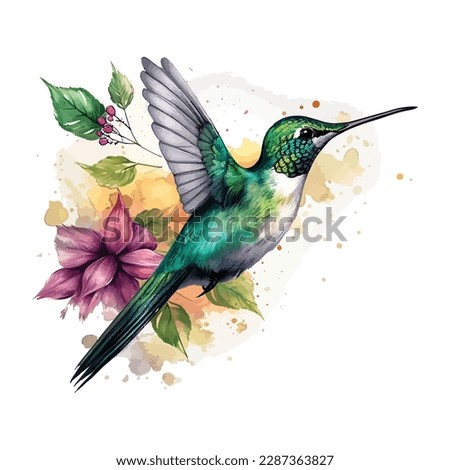 Watercolor hummingbird Vector hummingbirds isolated multi-colored caliber Humming bird watercolor painting drawing Royalty-Free Stock Photo #2287363827