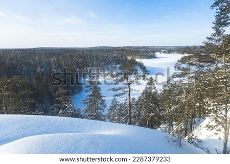 Repovesi National Park, aerial winter view, landscape view of a finnish park, southern Finland, Kouvola and Mantyharju, region of Kymenlaakso, with a group of tourists and the wooden infrastructure
 Royalty-Free Stock Photo #2287379233