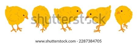 Vector illustration set of cute doodle baby chicks for digital stamp,greeting card,sticker,icon,Easter design
