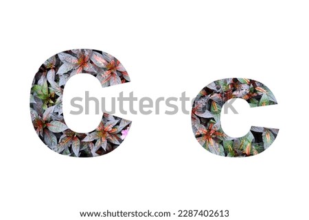 Font Alphabet C c isolated on white background made of Real alive leaves and flowers 