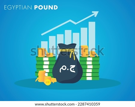 Egyptian Pound currency growth to success concept. The money bag chart increases profit. Business growth concept. Vector illustration design