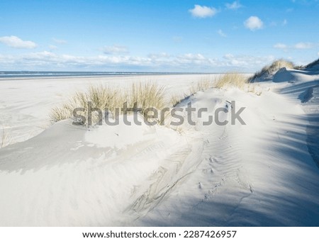 White dunes with beach grass, beach and North Sea, Langeoog, East Frisia, Lower Saxony, Germany Royalty-Free Stock Photo #2287426957