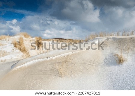 Dunes with beach grass and snow, North Sea, Langeoog, East Frisia, Lower Saxony, Germany Royalty-Free Stock Photo #2287427011