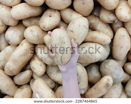 raw potatoes in the shop window