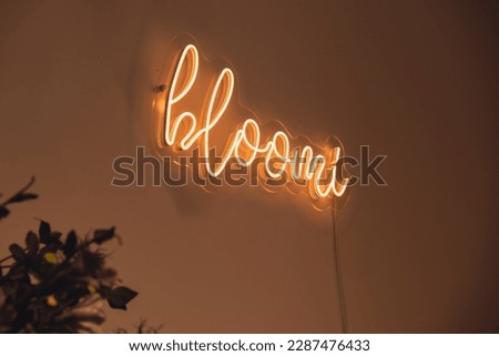 BLOOMI inscription in neon lights at night. Electric sign at night nightlife concept. Modern fluorescent life style luminescent. LED light