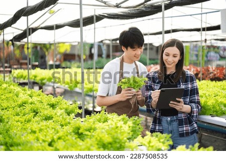 Man and woman working on lettuce plantation in farm using tablet and laptop. Business and nature concept.

