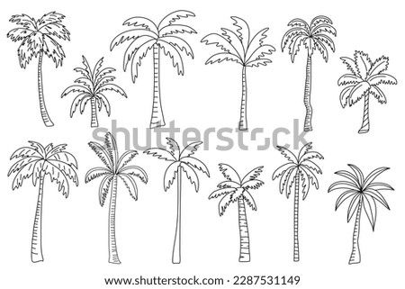 Palm tree vector illustration collection. Doodle hand drawn line ink style
