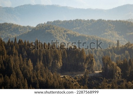 Redwood National Park in California Royalty-Free Stock Photo #2287568999