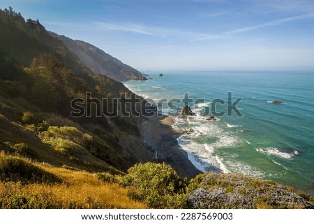 Redwood National Park in California Royalty-Free Stock Photo #2287569003