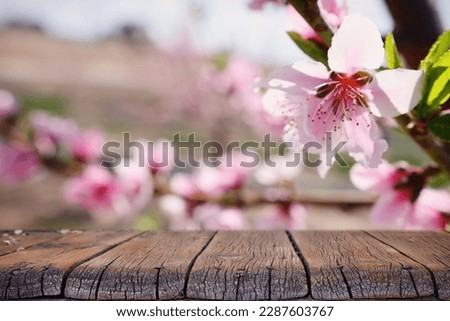 wooden table in front of spring blossom tree landscape. Product display and presentation