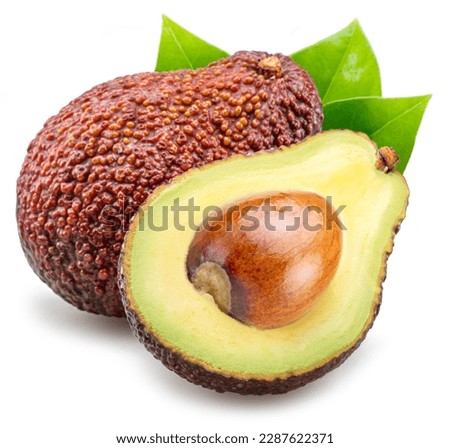 Hass avocado fruits with leaves isolated on white background. 